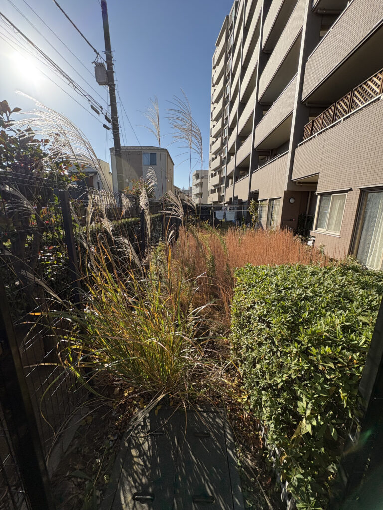 お庭のバーバー/朝霞市草刈り